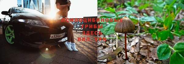 МДПВ Богданович